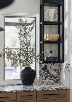 a black vase sitting on top of a counter next to a shelf filled with plants