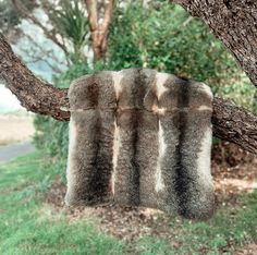 UNTAMED New Zealand Wild Fur Throws are manufactured using the main panel from top quality possum skins. These are carefully constructed by highly skilled furriers and lined with suede polyester (non slip & light weight). Size: 80 x 60cm Disclaimer: This possum fur comes in two natural colors: gray and dark brown. We cannot guarantee which color you will receive, as products are selected at random for online orders. Fur Throw, Early Fall, Natural Colors, Labour Day, Dark Brown, New Zealand, Blankets, Bathing Beauties, Electronic Accessories