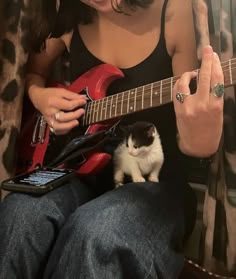 a woman playing guitar with a small kitten sitting on her lap next to the guitar