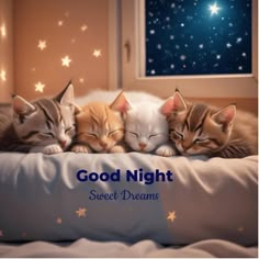 three kittens sleeping together on a bed with the caption good night sweet dreams