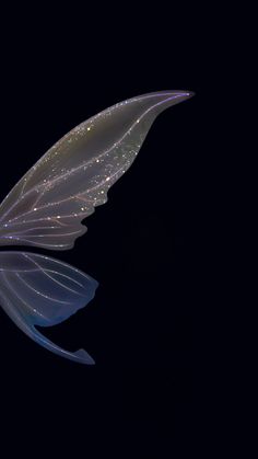 a large white butterfly flying through the night sky