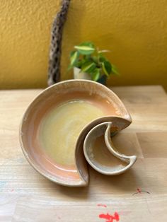 a small bowl sitting on top of a wooden table next to a potted plant