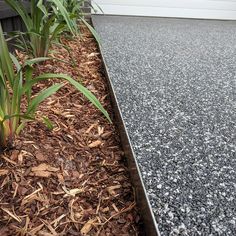 some plants are growing out of the ground next to a garage door and driveway curb