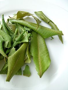 some green leaves are on a white plate