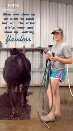 a woman is washing a black cow with a hose and water in her hand while standing next to it