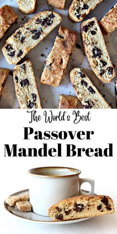 the world's best passover mandel bread with raisins and chocolate chips