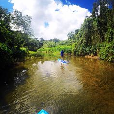 a person on a surfboard in the water with trees and bushes behind them,