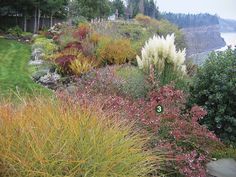 a garden with lots of different plants and flowers on the side of a hill next to water