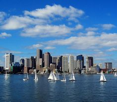 several sailboats are sailing in the water near a large city on a sunny day