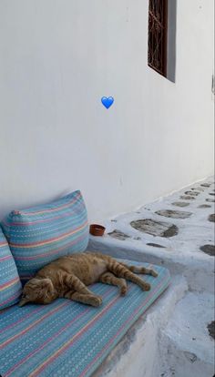 a cat laying on top of a blue and white couch next to a building with a heart shaped window