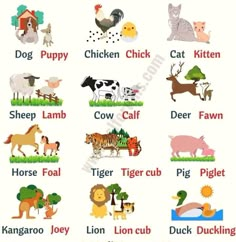 an image of animals and their names in english