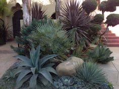 an assortment of plants and rocks in front of a house