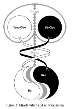 Tcm Traditional Chinese Medicine, Shiatsu Massage Acupressure, Tai Chi Qigong, Chi Kung, Tai Chi Chuan, Shiatsu Massage, Acupuncture Points, Qi Gong, Traditional Medicine