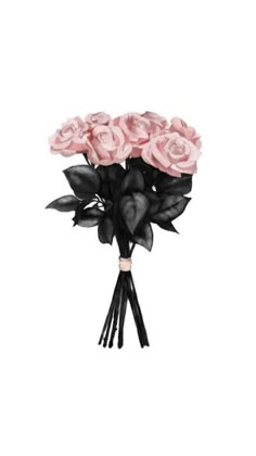 a bouquet of pink roses on a white background with black stems and leaves in the center