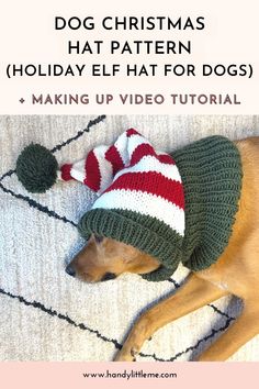 a dog wearing a knitted christmas hat laying on top of a rug with text overlay that reads, dog christmas hat pattern holiday flat for dogs making up video