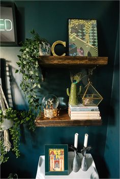 two wooden shelves with books and plants on them