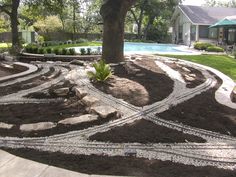 a tree in the middle of a garden with rocks and gravel around it, next to a swimming pool