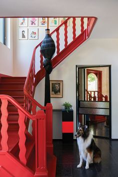 a dog sitting on the floor in front of a red stair case next to a black table