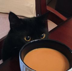 a black cat sitting next to a bowl of soup