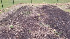 the ground is covered with mulch and grass in front of a fenced area