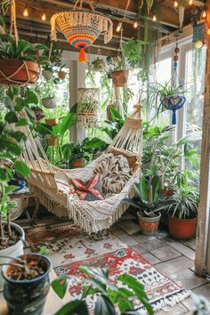 a room filled with lots of potted plants and hammock hanging from the ceiling