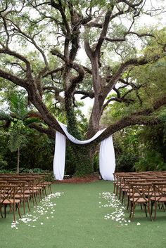 an outdoor ceremony setup with white draping and flowers on the aisle, surrounded by trees