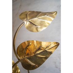 Floor lamp in the style of Tommaso Barbi.    The lamp is made of polished brass, has a curved base and a beautiful pattern in the leaf.    the designer was known for his quality organic inspired lighting designs.    This vintage lamp is formed of 3 rhubarb leafs and it creates a nice and warm atmosphere.    This piece is attributed to the above-mentioned designer/maker. This piece is attributed to the mentioned designer/maker. It has no attribution mark and no   official proof of authenticity, Tommaso Barbi, Vintage Lamp, The Leaf, Lighting Inspiration, Vintage Lamps, Leaf Shapes, Rhubarb, Polished Brass, Beautiful Patterns