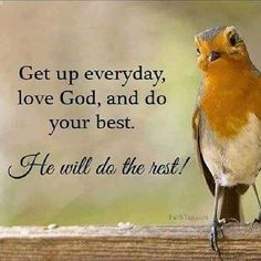 a small bird sitting on top of a wooden table next to a quote that says get up everyday, love god and do your best