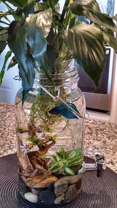 a glass jar filled with plants and rocks