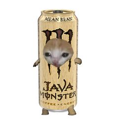 Sad cat in a can, monster, java coffee mean bean