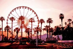 a ferris wheel surrounded by palm trees at sunset