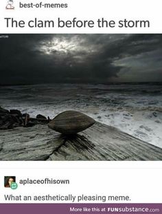 an image of a storm coming in from the ocean with caption that reads, the clam before the storm