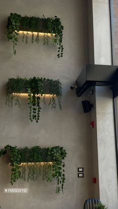 some plants are growing on the side of a wall in an office building or restaurant