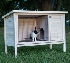 a cat in a cage on the grass