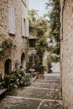 an alley way with stone buildings and trees on both sides, surrounded by greenery