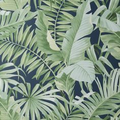 an image of a wallpaper with tropical leaves on it's side and dark blue background