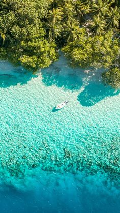 an aerial view of a boat in clear blue water surrounded by palm trees and vegetation