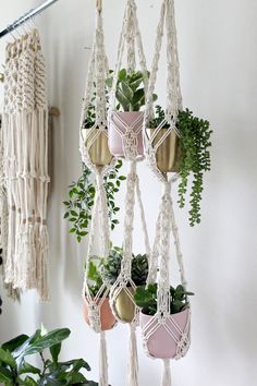 macrame plant hangers with plants in them hanging from the wall and holding potted plants