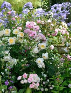 many different types of flowers are in the garden and one is pink, white, yellow and purple