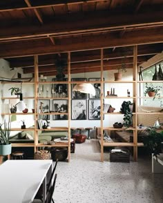 a living room filled with lots of furniture and shelves covered in plants on top of them