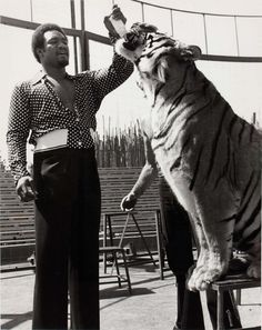 a man standing next to a tiger on top of a chair