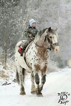 a woman riding on the back of a white horse down a snow covered forest road