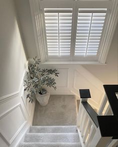 an overhead view of a staircase with a potted plant on the far end and white painted walls