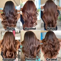 Fall Hair For Brown Hair, Brown Colour Hair Shades, Straight Chestnut Brown Hair, Trendy Hair Colours 2023, Hair Color Skin Tone Chart, Chestnut Brown Hair Colors, Hair Colour Brown Shades, Trendy Fall Hair Color For Brunettes, Hair Color Streaks For Brunettes