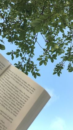 an open book hanging from a tree branch