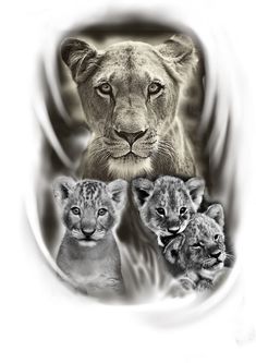 230+ Lioness Tattoo Ideas and Designs (2023) - TattoosBoyGirl Lioness Cubs Tattoo, Lioness With Cubs Tattoo, Lion Cubs Tattoo, Mama Lion And Cubs Tattoo, Lioness Tattoo Ideas, Tattoo Ideas Female Thigh, Lioness And Cub Tattoo, Lion Cub Tattoo, Female Lion Tattoo