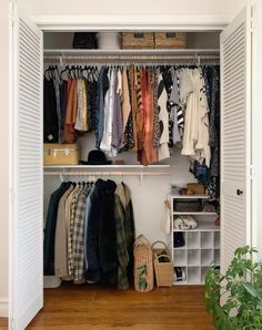 an open closet with clothes and baskets on the shelves, next to a potted plant