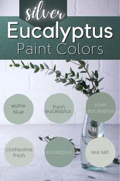 the silver eucalyptus paint colors are shown in different shades