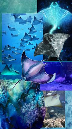 an underwater scene with many different types of fish