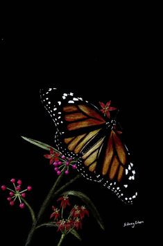 a painting of a butterfly sitting on top of a flower